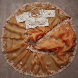 New Fancy Designer Saree With Blouse